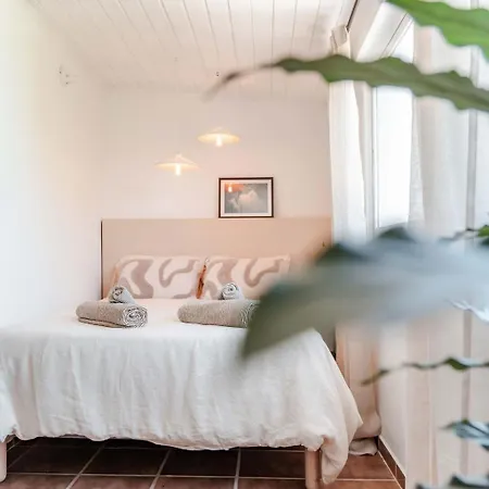 Casa Calma - The House Of Rest - Surf & Yoga Villa