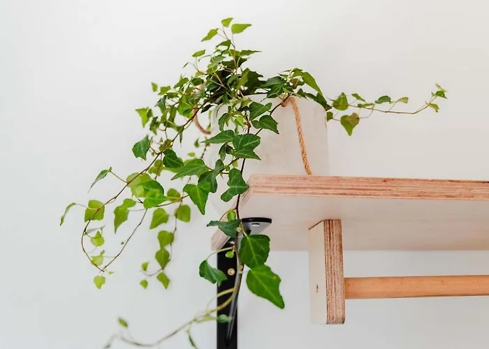 Casa Calma - The House Of Rest - Surf & Yoga ヴィラ