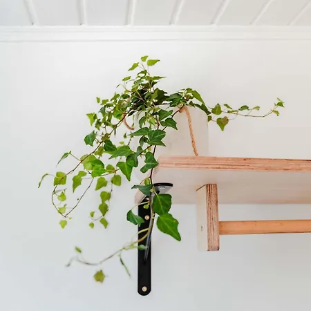 Casa Calma - The House Of Rest - Surf & Yoga Вилла